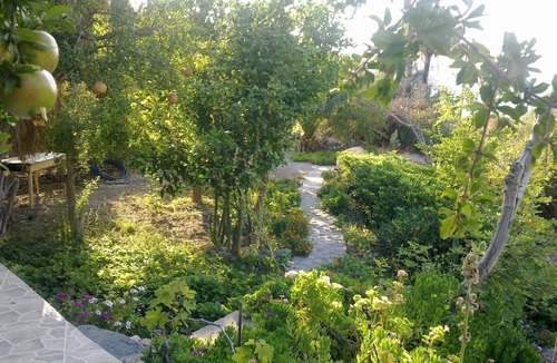Agios Vasileios House | Beach family house in green