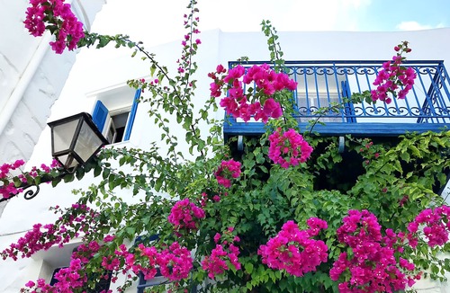Ano Siros House | Βougainvillea House