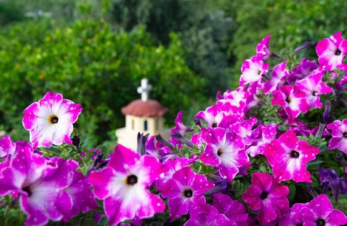 Voukoliai Other | CASA AROKARIA - Easy to find, hard to leave!