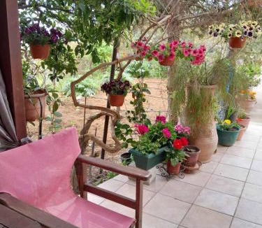 Pitharion House | Casa Matzurana