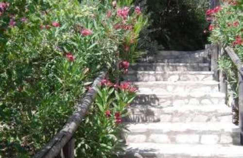 Kamilari Apartment | Complex of apartments & studio, full-equipped, in a large, beautiful garden