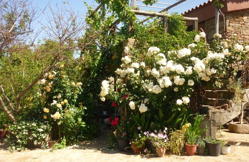 Lemnos Cottage | Cottage farmhouse.