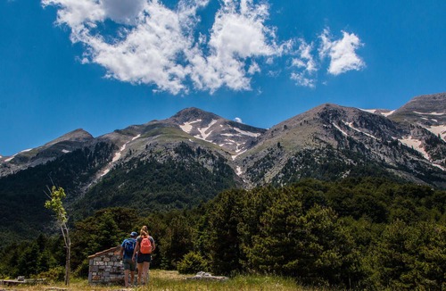 Artemisia Bed & Breakfast | Denthis Mountain Escape - Cozy Retreat in Taygetos