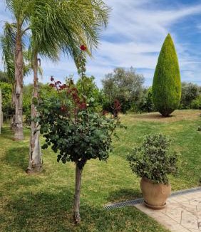 Aigialeia House | Dimitris Villa