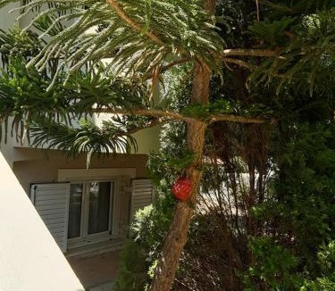 Palaia Fokaia House | Dina