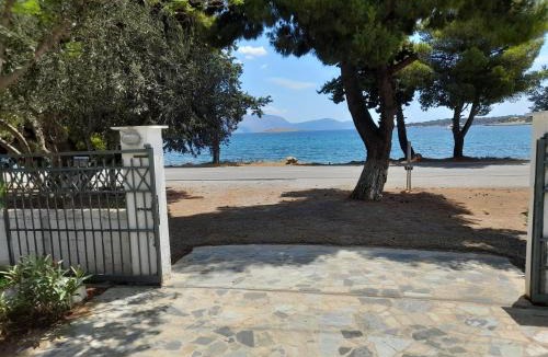 Galaxidi Apartment | Elea Guesthouse