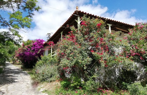 Pylos-Nestoras House | Elia apartment Holiday paradise next to the beach