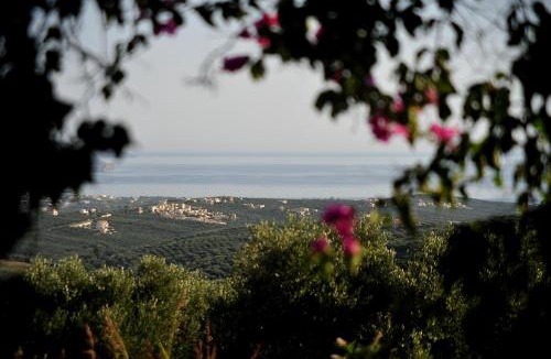 Ano Vouves Hotel | Elia Hotel & Spa