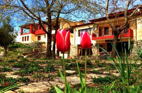 Vergina House | Evridiki
