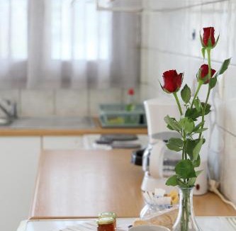 Mesolongi Apartment | Flo's Apartments