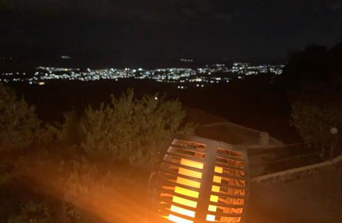 Tripi House | ForestRock Studio FOR SALE TOO