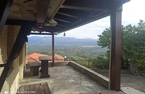Tripi House | ForestRock Studio FOR SALE TOO