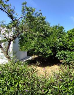 Panormos House | Garden Home