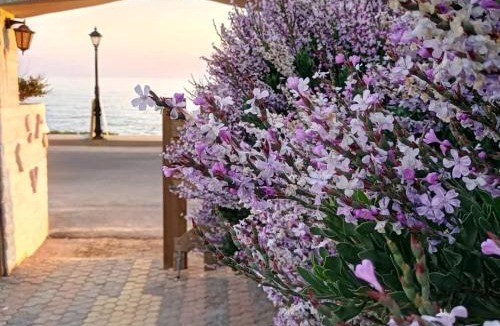Aposelemis House | Georgia Seaside Villa