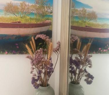 Apollonia Apartment | Geronti Moscha Apartment