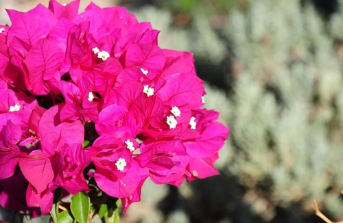 Naxos Apartment | Glyfada Veranda with Sea View