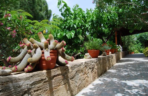Falassarna Apartment | Golden Sun Apartments