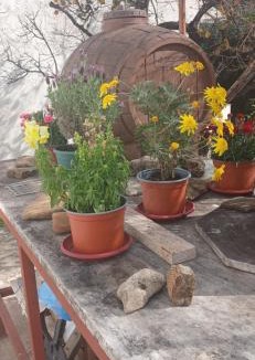 Karousades House | grenta country house