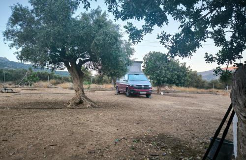 Lassithi Prefecture Other | HA Camp