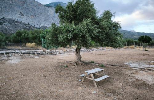 Lassithi Prefecture Other | HA Camp