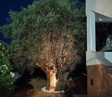 Afandou Apartment | Hibiscus Green Apartments