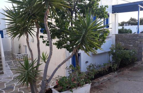 Aliki Apartment | Holidays in Paros