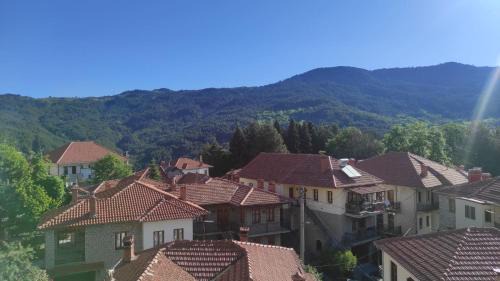 Metsovo Apartment | Inima apartments