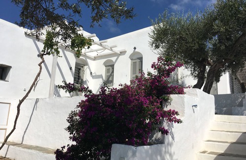 Apollonia House | Large village house in olive grove for 13 people