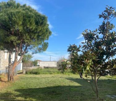 Lesvos House | Modern Villa in Lesvos