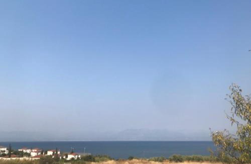 Messini Apartment | Nereids Apartments-Agavi