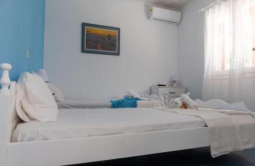 Kavos Apartment | Olive terra holiday aparments