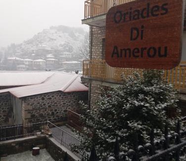 Metsovo Apartment | Oriades di Amerou