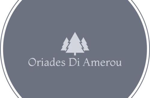 Metsovo Apartment | Oriades di Amerou