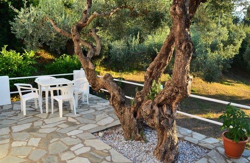 Stafylos Cottage | Peace, Privacy and Natural Beauty on Skopelos Island