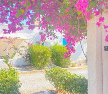 Messini House | Peaceful Cottage House - Private Garden