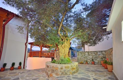 Plokamiana House | Plokamos House