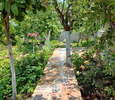 Stagira-Akanthos House | Saint Anna Country House.