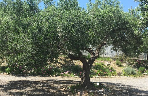 Kissamos House | Sea and mountains . Beautiful villa with stunning views