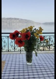 Salamis Apartment | Sea view luxury apartment