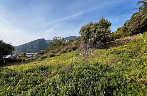 Avlakia Apartment | Seafront studio with terrace