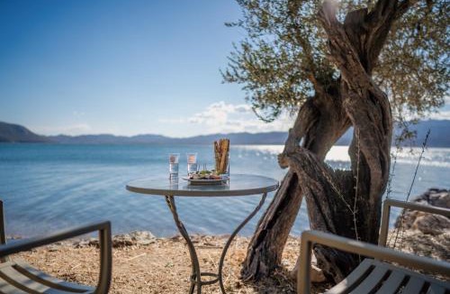 Mytilene House | Seafront Traditional Stone House in Sunset Olive Grove - B