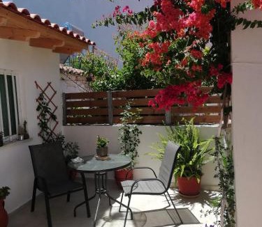 Halepa Apartment | Small Studio with Yard