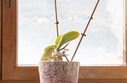 Florina Ski Chalet | Soffitta House Sofi!