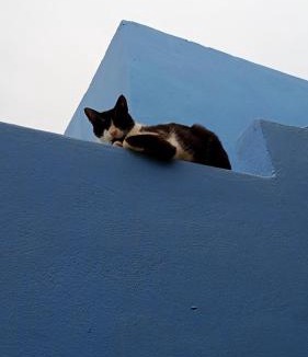 Armenoi Apartment | Stefanos Garden