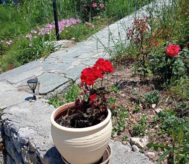Armenoi Apartment | Stefanos Garden