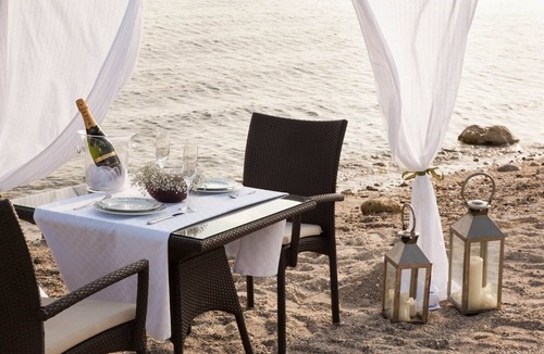 Polichrono Apartment | Sun Residence 3500 m palm garden by the sea