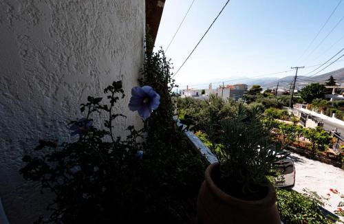 Limenas Chersonisou Apartment | Tea & Sea Apts