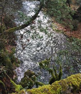 Vitina Apartment | The house on the road of Love