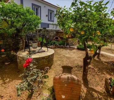 Samos House | The Kalivi