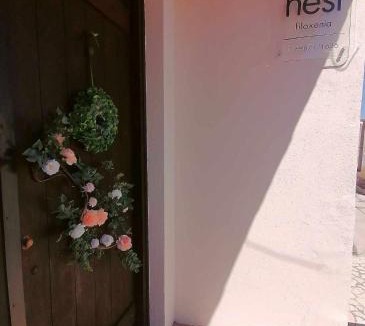 Mesaia Trikala Apartment | The Nest Filoxenia